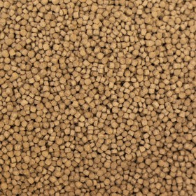 THỨC ĂN CHĂN NUÔI - ANIMAL FEED